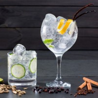 Gin Tonic Ambassador 56 cl-66299